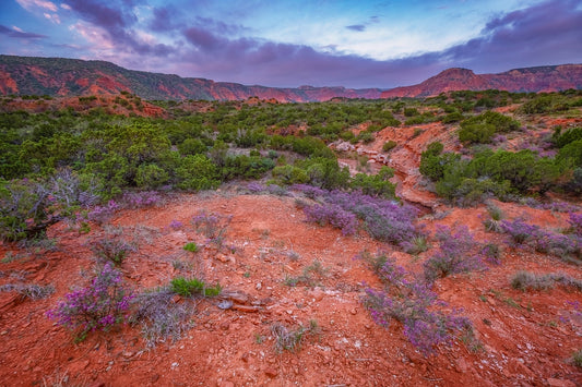 Caprock Sunrise