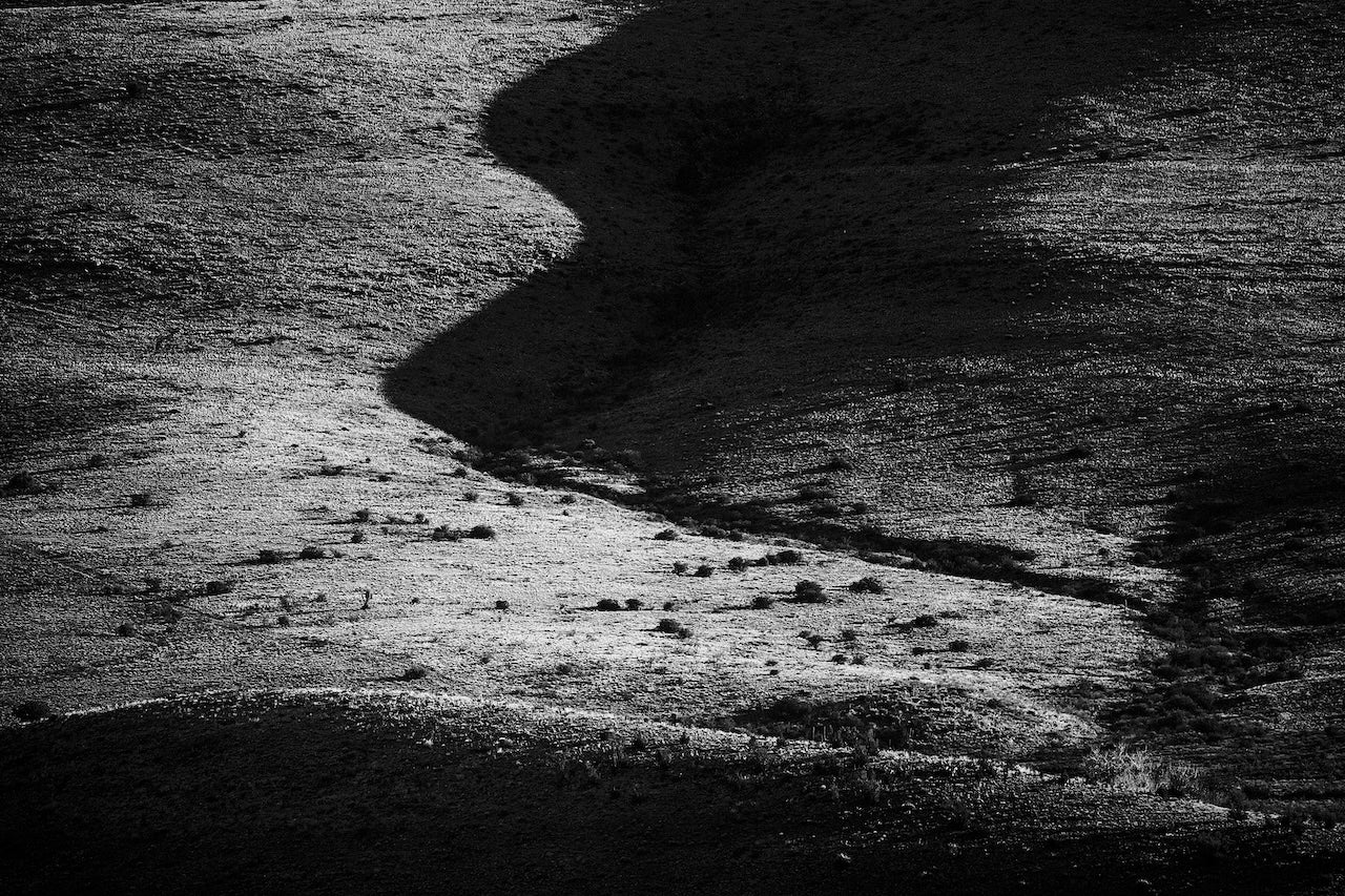 Bodies of Land IV