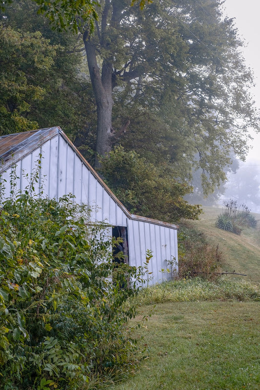 The Old Shed