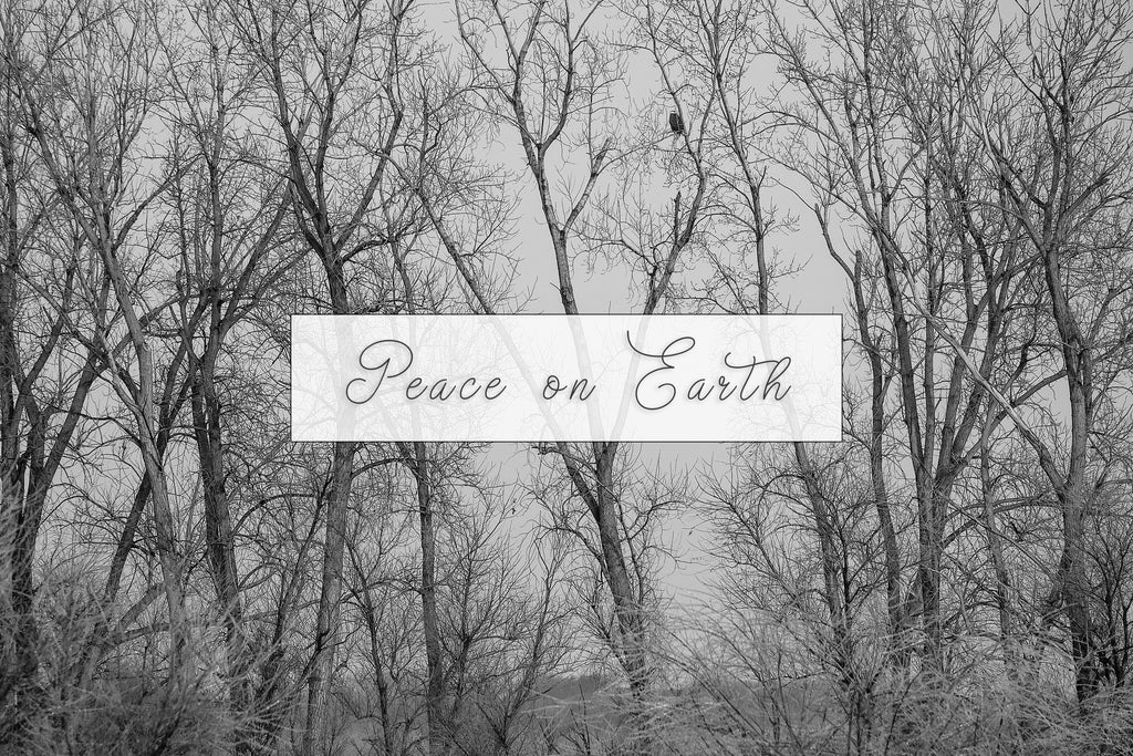 Peace on Earth Holiday Greeting Cards (Set of 25)