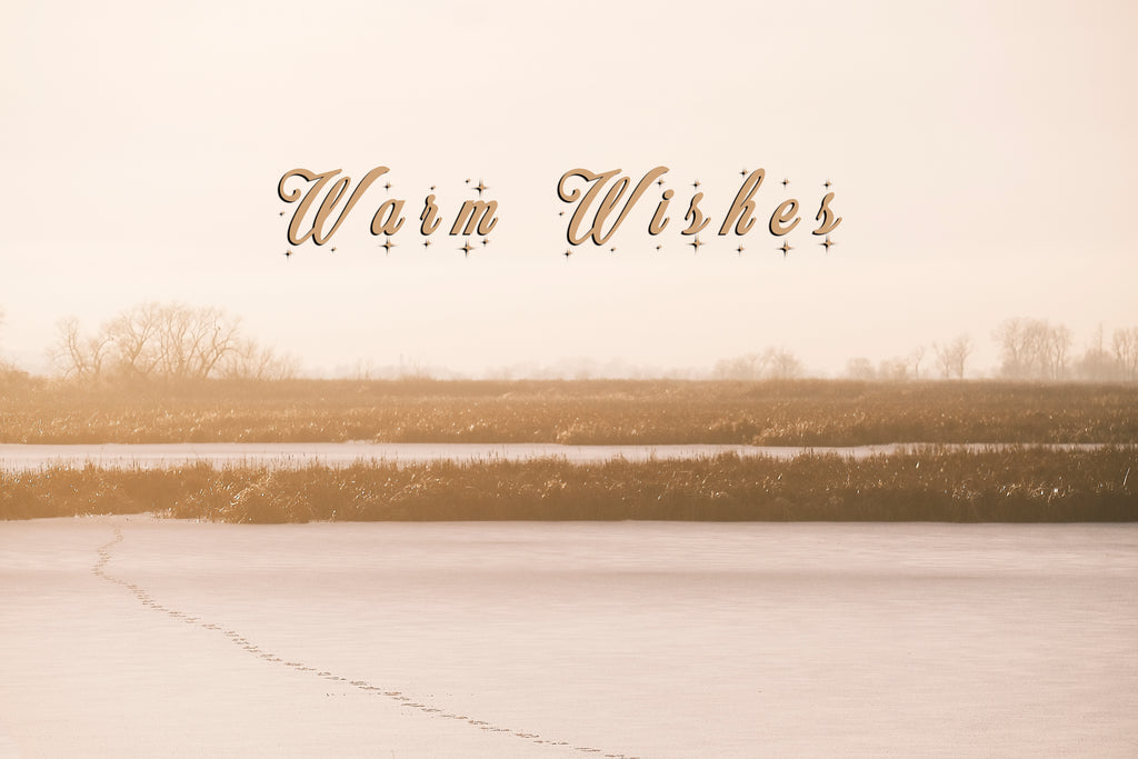 'Warm Wishes' Holiday Greeting Cards (Set of 25)