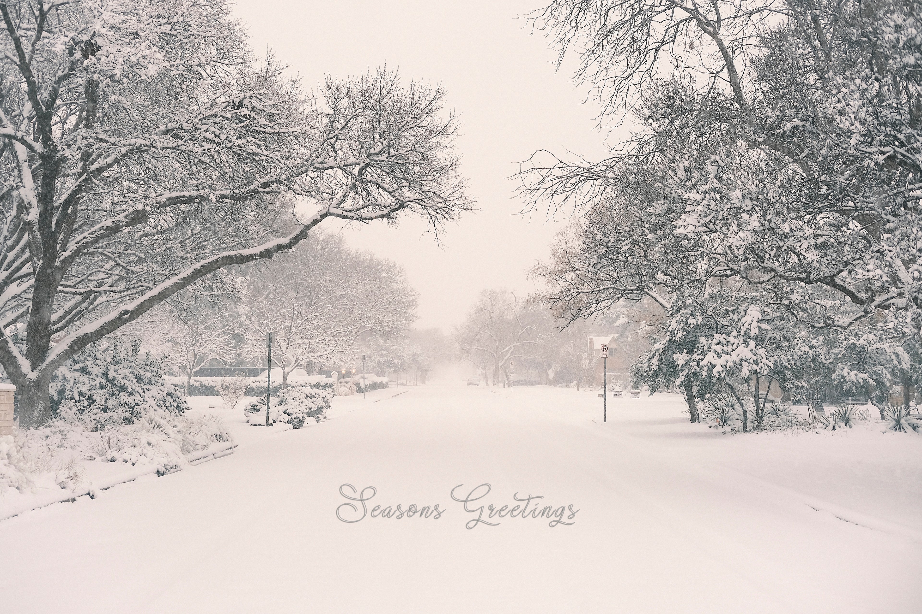 '20th Street in Winter Storm' Holiday Greeting Cards (Set of 25)
