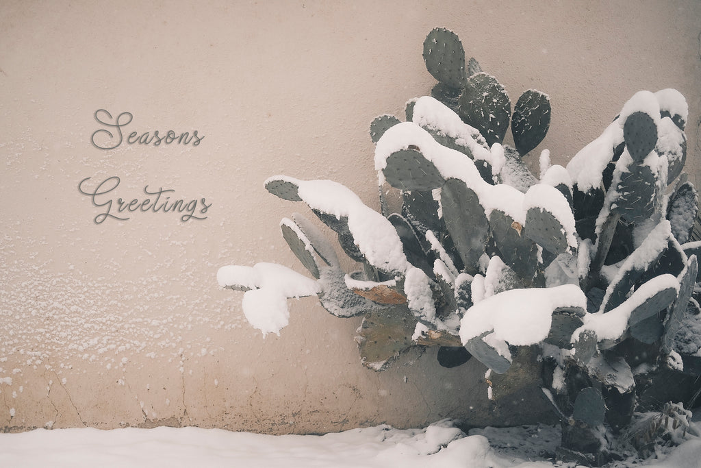 'West Texas Winter' Holiday Greeting Cards (Set of 25)