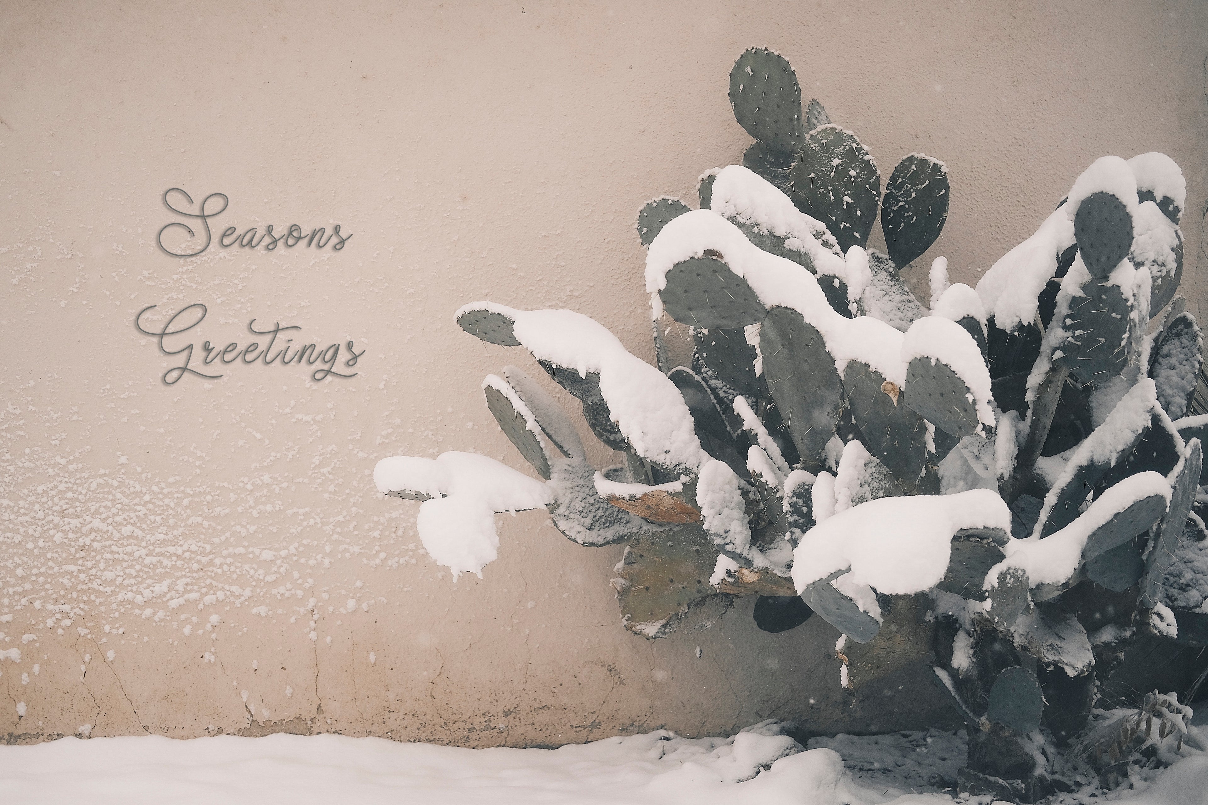 'West Texas Winter' Holiday Greeting Cards (Set of 25)
