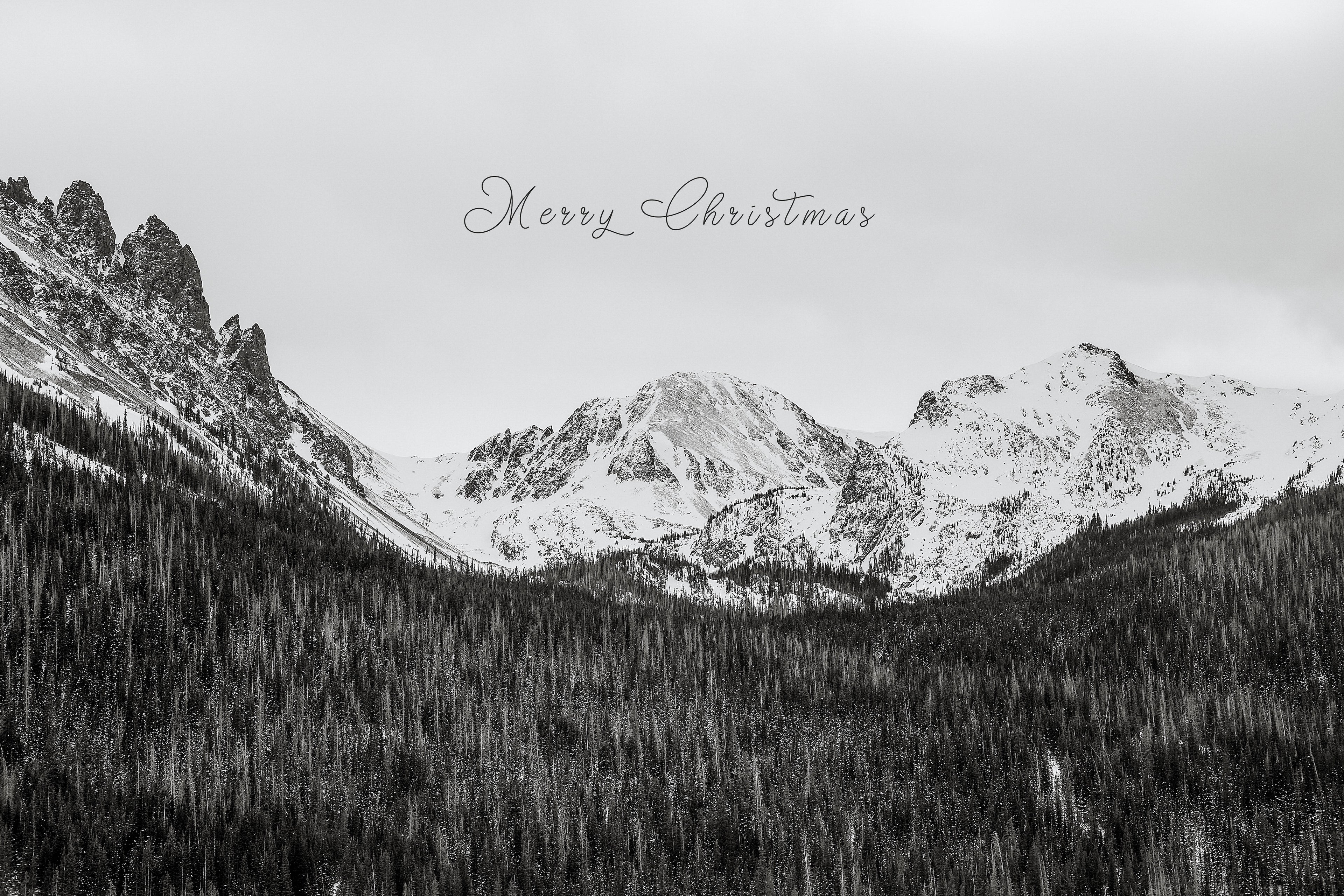 'Winter Mountains & Pines' Holiday Greeting Cards (Set of 25)