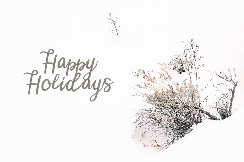 'Rabbitbrush in Snow' Holiday Greeting Cards (Set of 25)