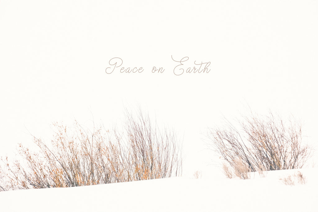 'Fire & Snow' Holiday Greeting Cards (Set of 25)