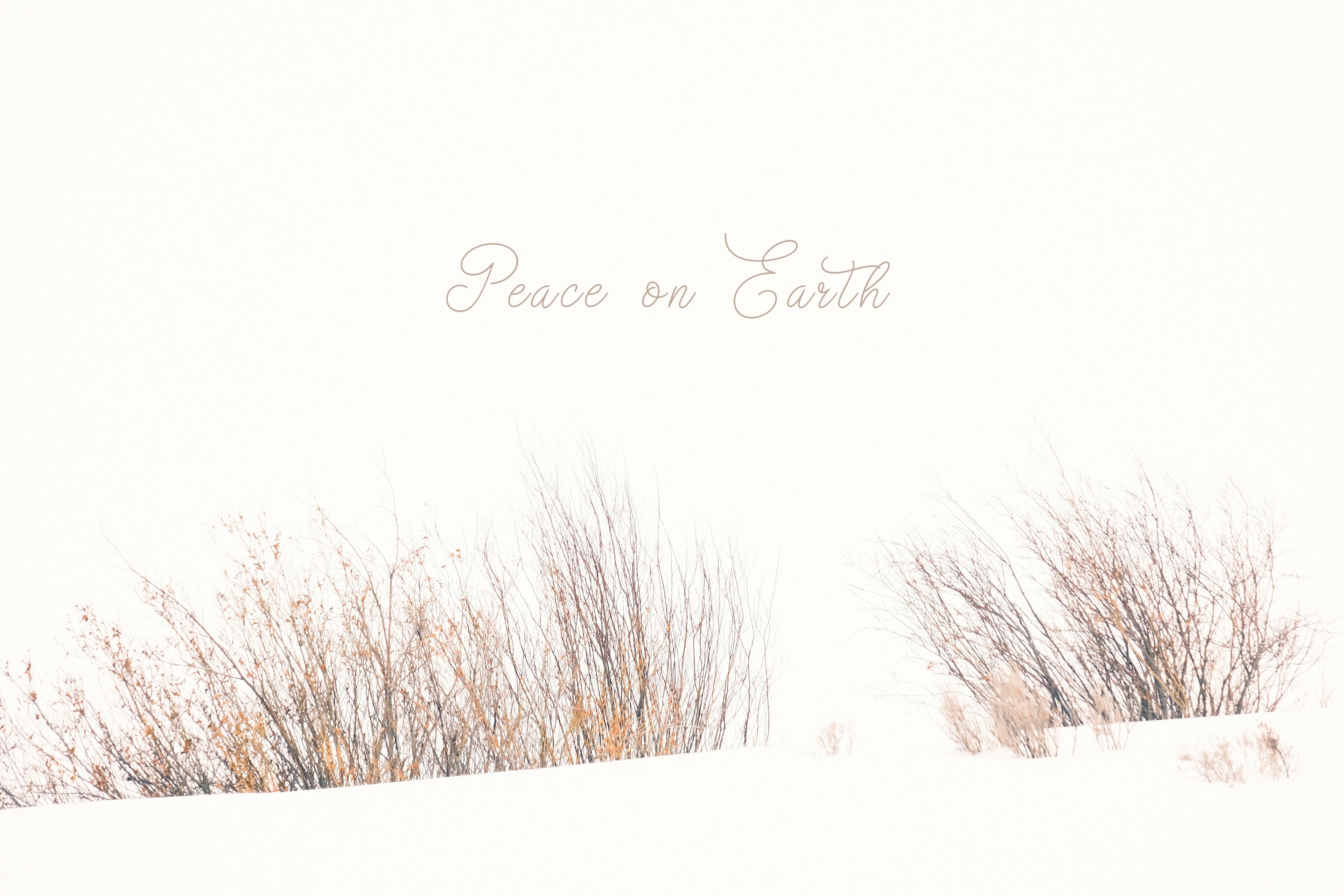 'Fire & Snow' Holiday Greeting Cards (Set of 25)