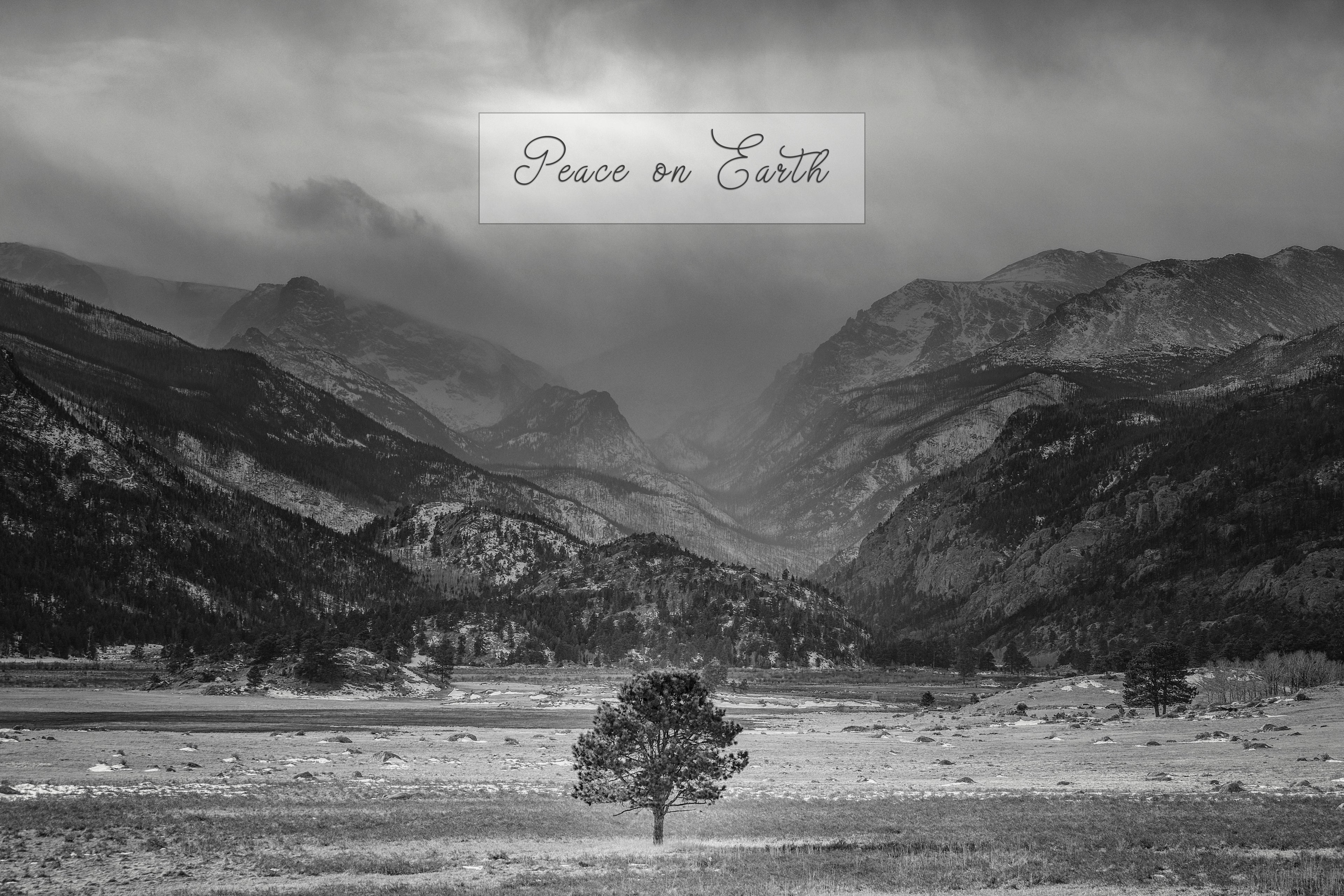 'Below the Storm' Holiday Greeting Cards (Set of 25)