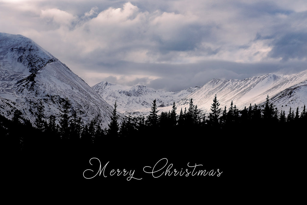 'Winter Light' Holiday Greeting Cards (Set of 25)