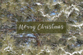 'Snow on Pine Boughs' Holiday Greeting Cards (Set of 25)