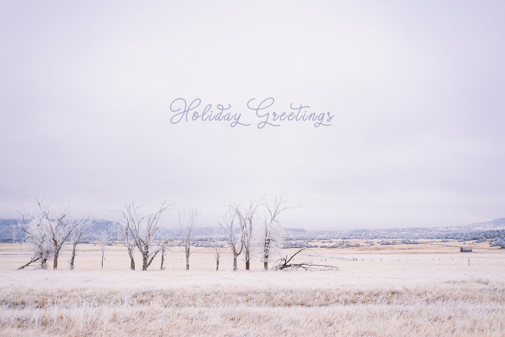 'Frozen Enchantment' Holiday Greeting Cards (Set of 25)