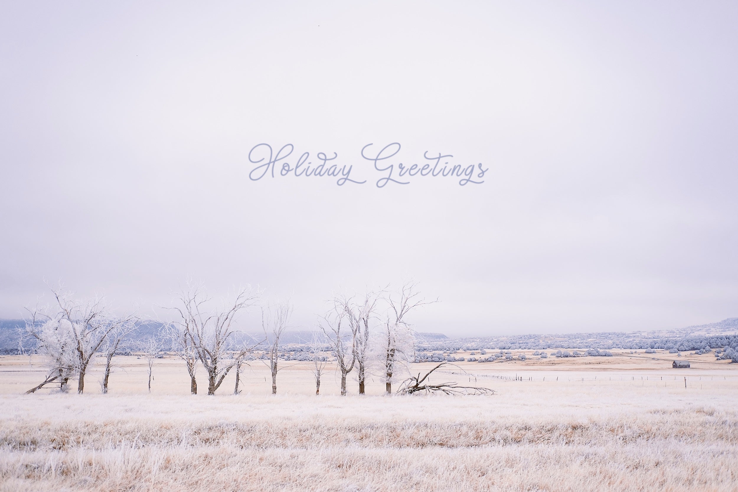 'Frozen Enchantment' Holiday Greeting Cards (Set of 25)