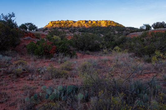 Light on the Caprock