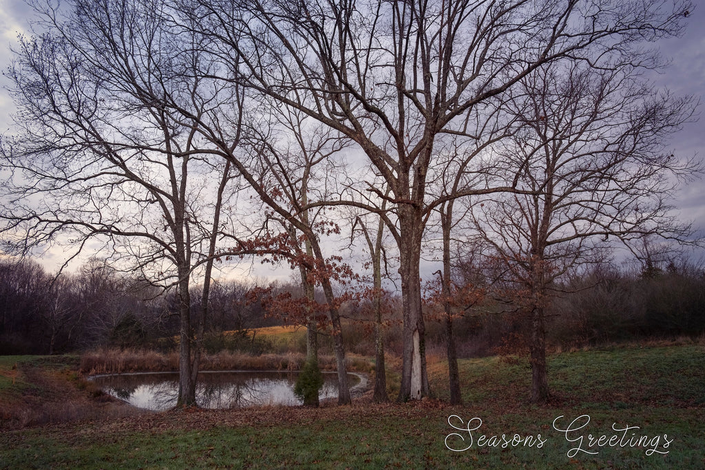 'Peaceful TN Pond' Holiday Greeting Cards (Set of 25)