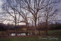'Peaceful TN Pond' Holiday Greeting Cards (Set of 25)