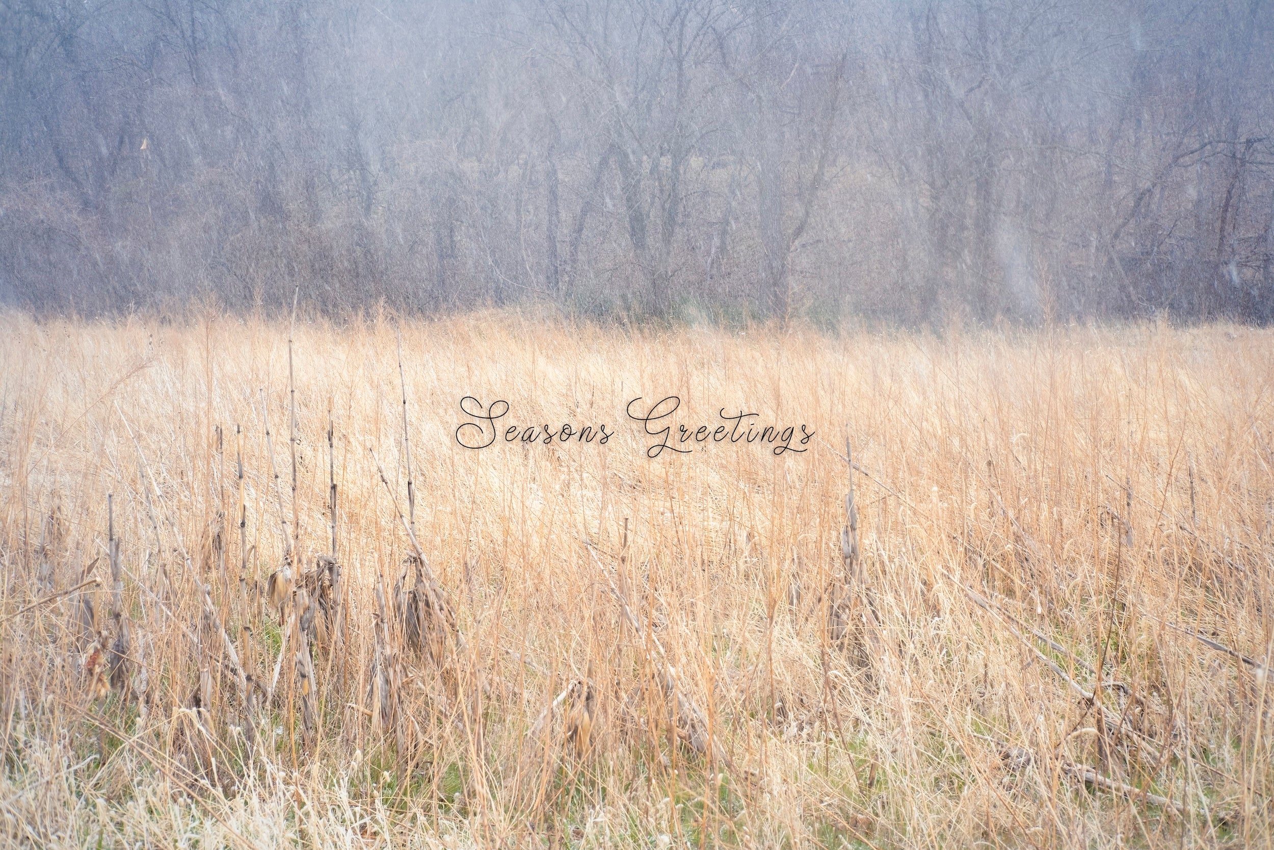 'Late April Snow' Holiday Greeting Cards (Set of 25)