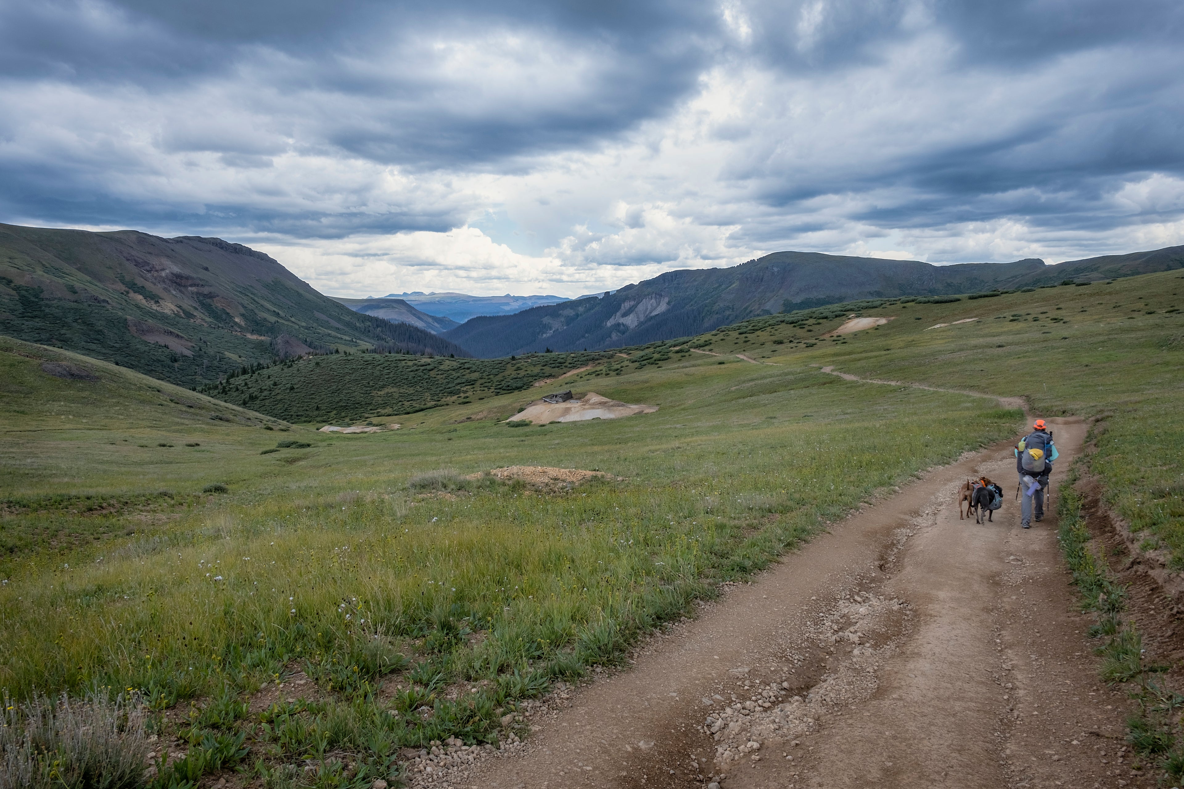 Person hiking with two dogs on a dirt path in a mountainous landscape under a cloudy sky.