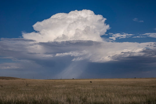 Rain on the South Plains