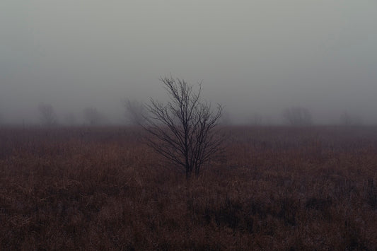 West Texas Winter Fog - 1