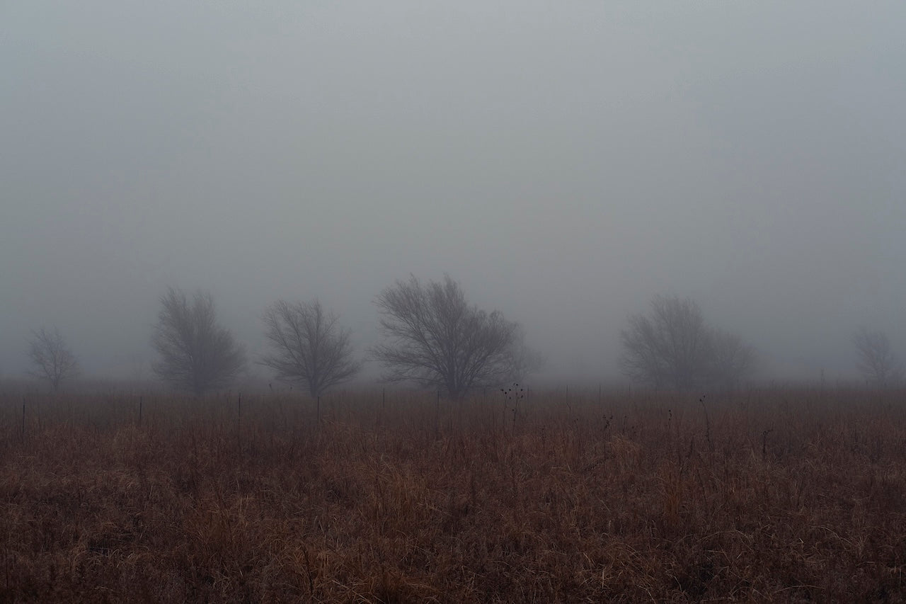 West Texas Winter Fog - 2