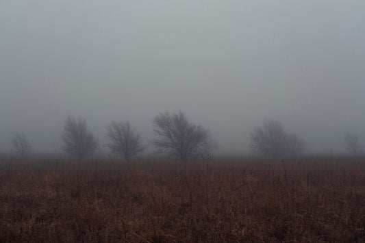 West Texas Winter Fog - 2