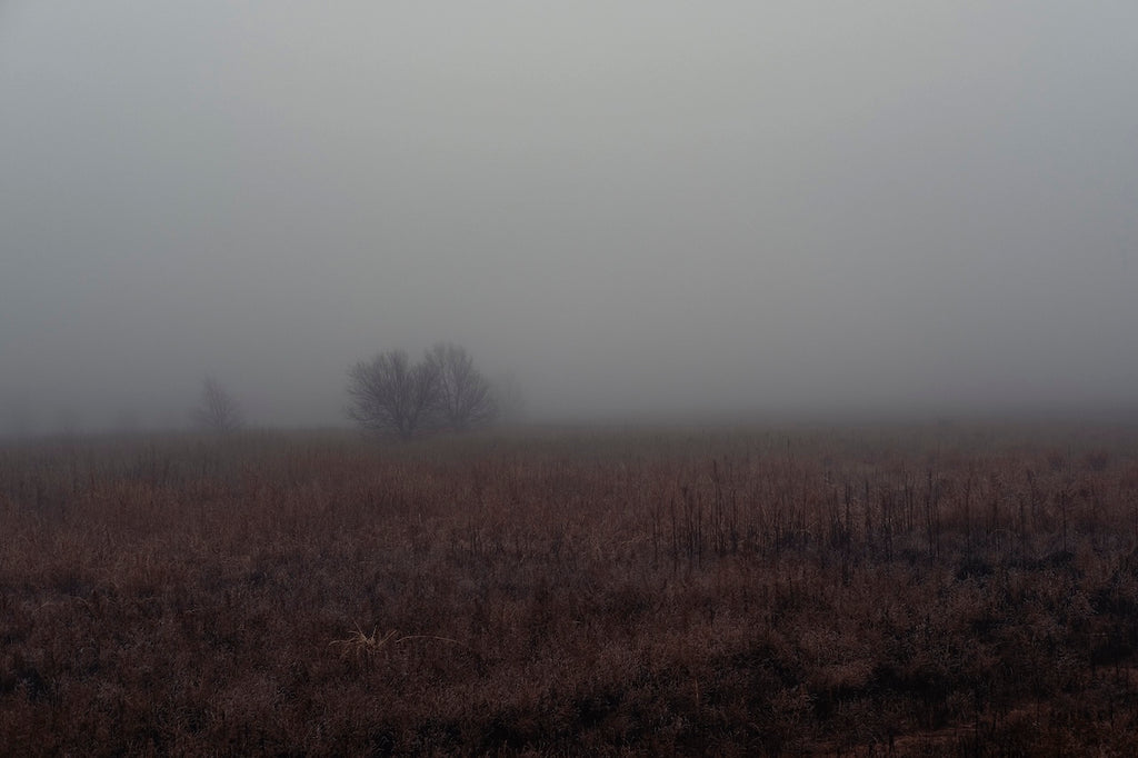 West Texas Winter Fog - 3
