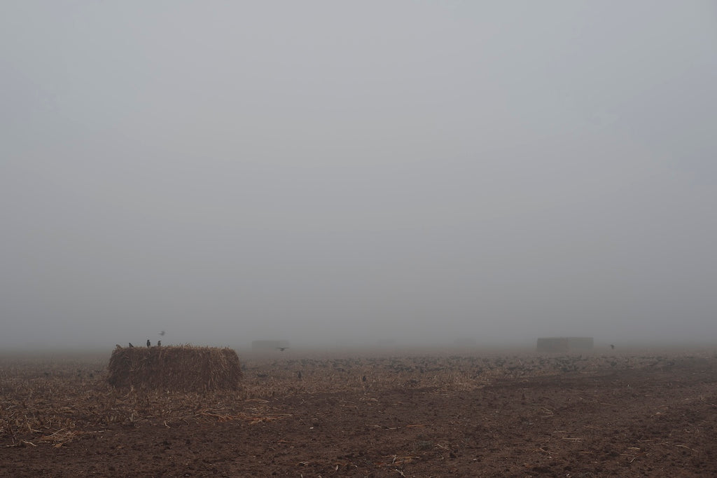 West Texas Winter Fog - 5