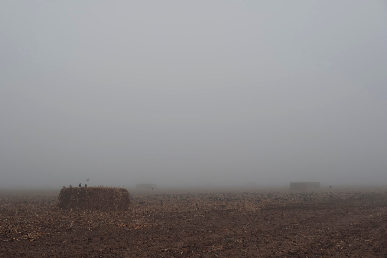 West Texas Winter Fog - 5