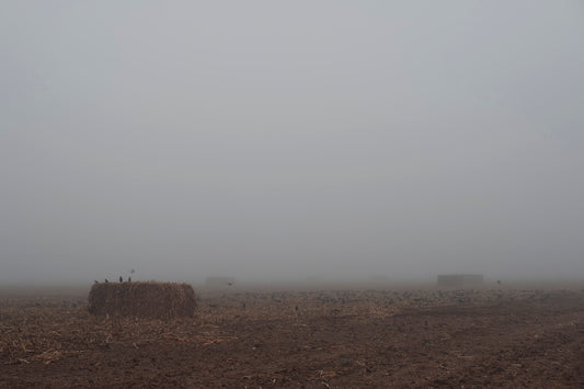 West Texas Winter Fog - 5