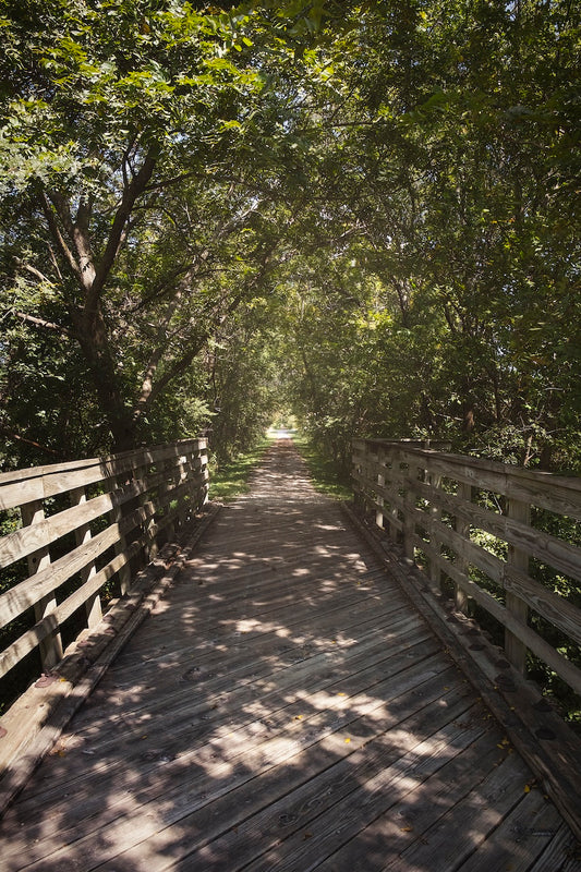 Rural Bike Path II