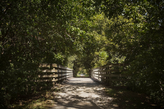 Rural Bike Path I