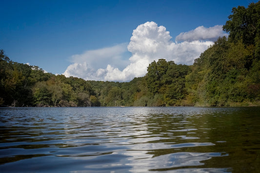 Early Fall Lake Scene