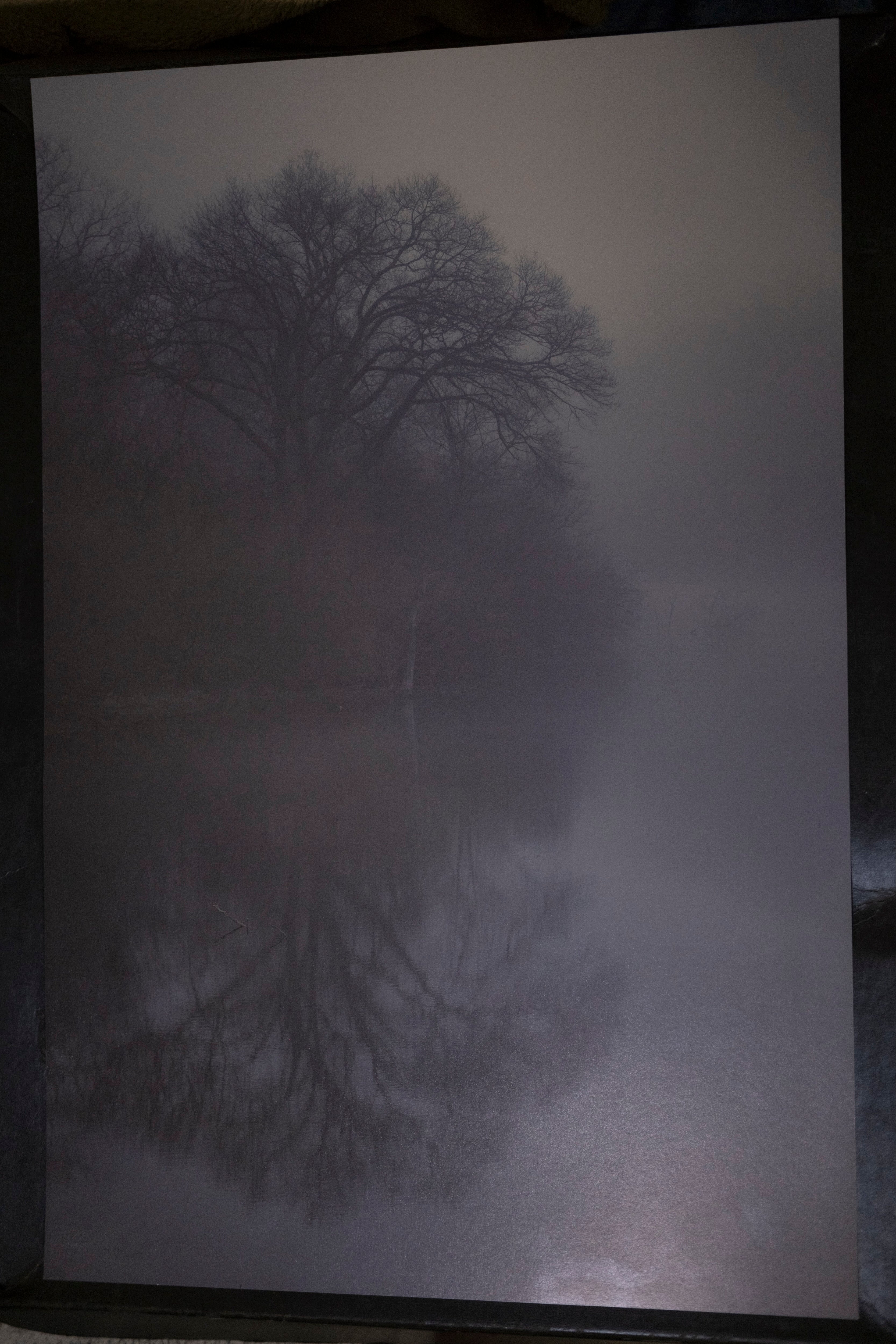 NWMO Fog No. 6 - 24" x 16"