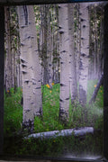 Wild Sunflowers and Trembling Aspens - 24" x 16"