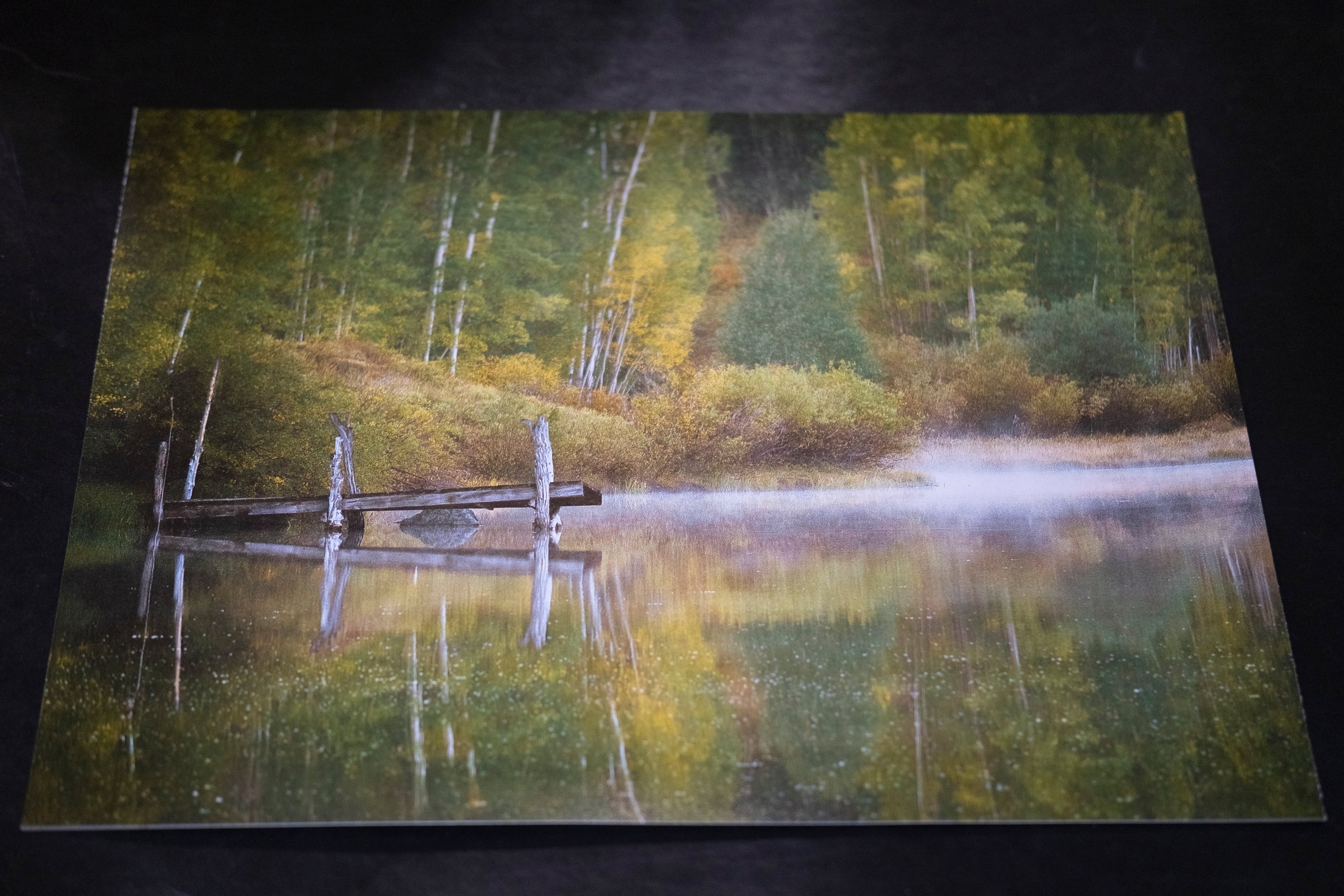 Misty Fall Colors - 11" x 14"