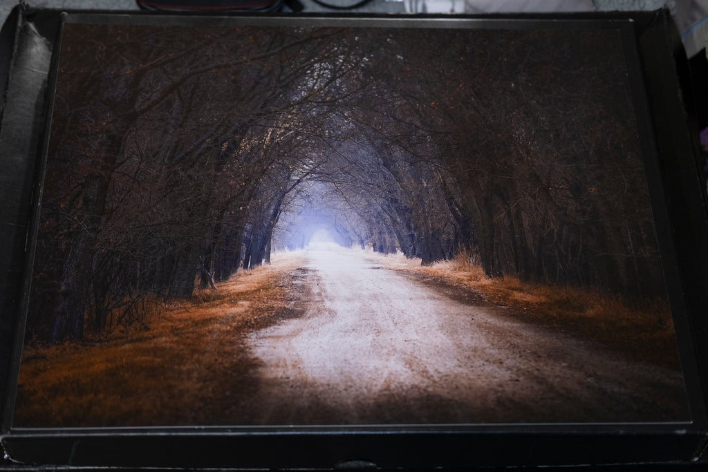 The Road Home - 16" x 20"