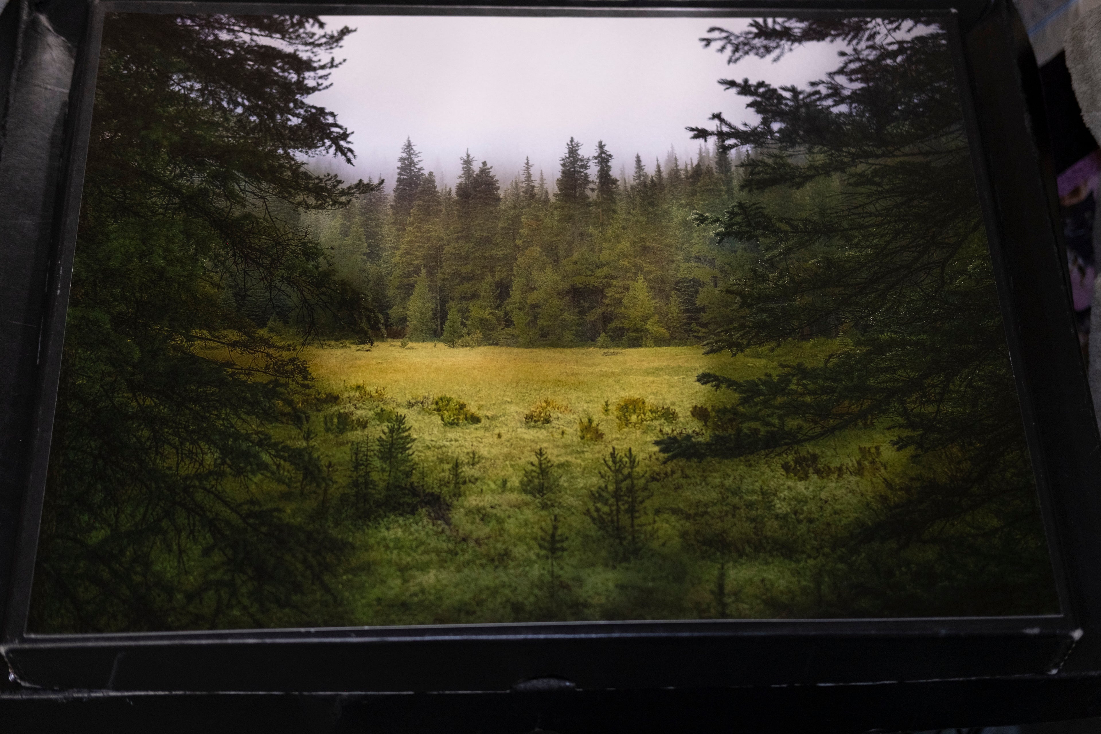 Window to a Misty Meadow - 16" x 20"