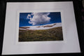 Summer Snow - matted to 16" x 20"