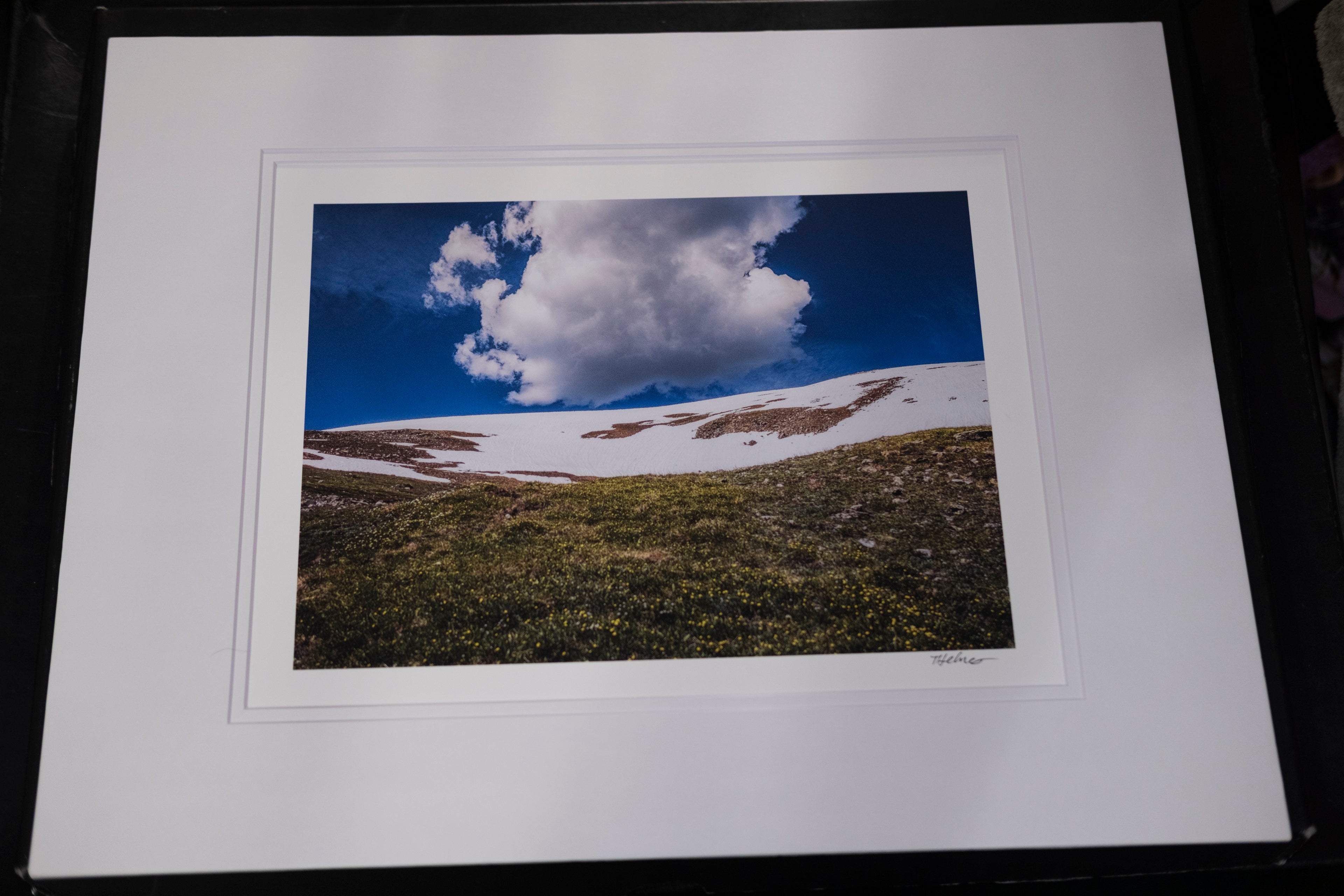Summer Snow - matted to 16" x 20"