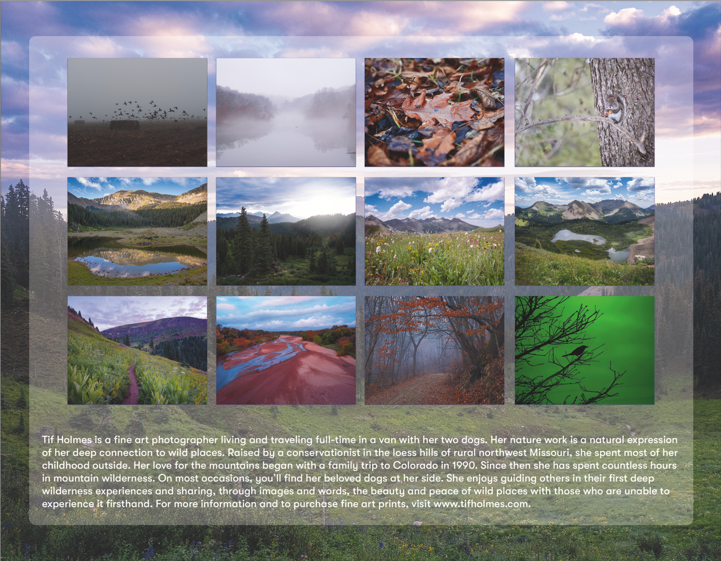 2025 Nature Wall Calendar (Pre-Order)