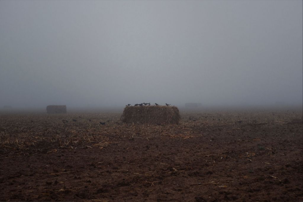 West Texas Winter Fog - 7