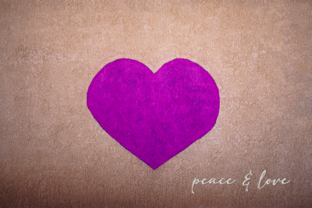 'Bella's Heart' Holiday Greeting Cards (Set of 25)