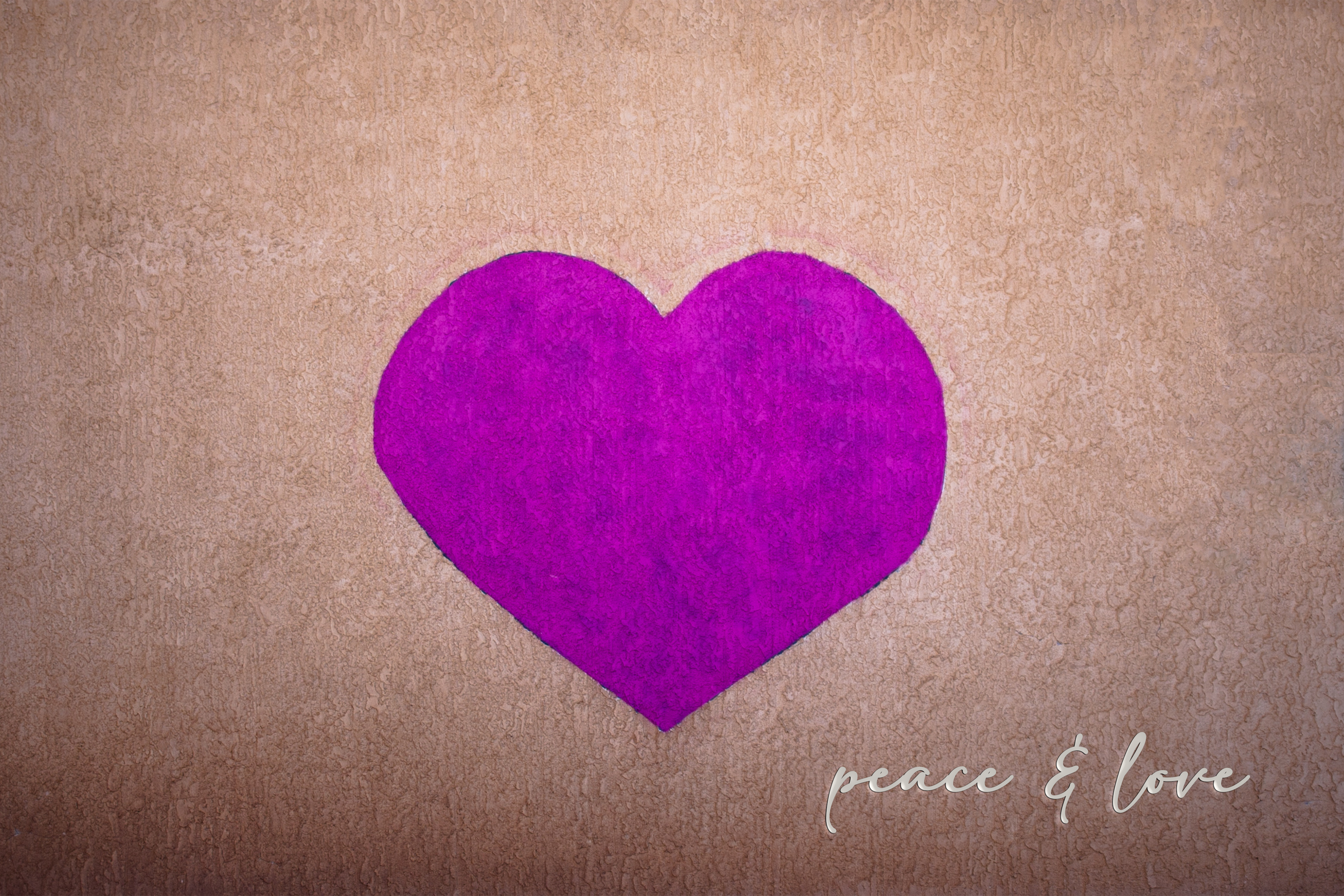 'Bella's Heart' Holiday Greeting Cards (Set of 25)