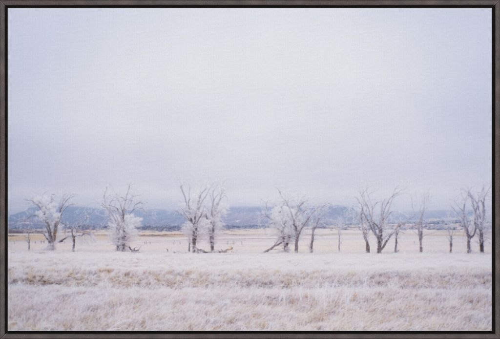 Frozen Enchantment III