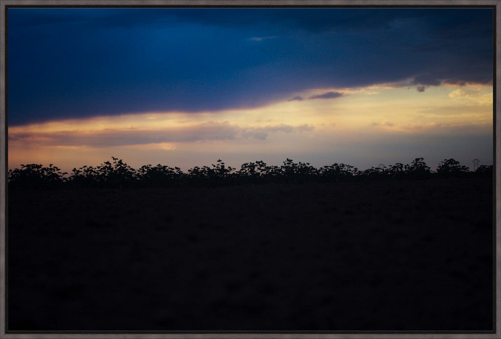 Sunset Cotton Silhouette