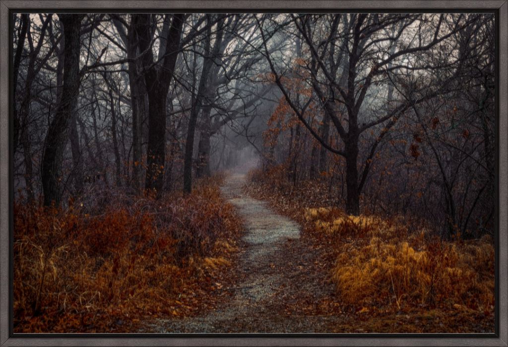 Misty Fall Path