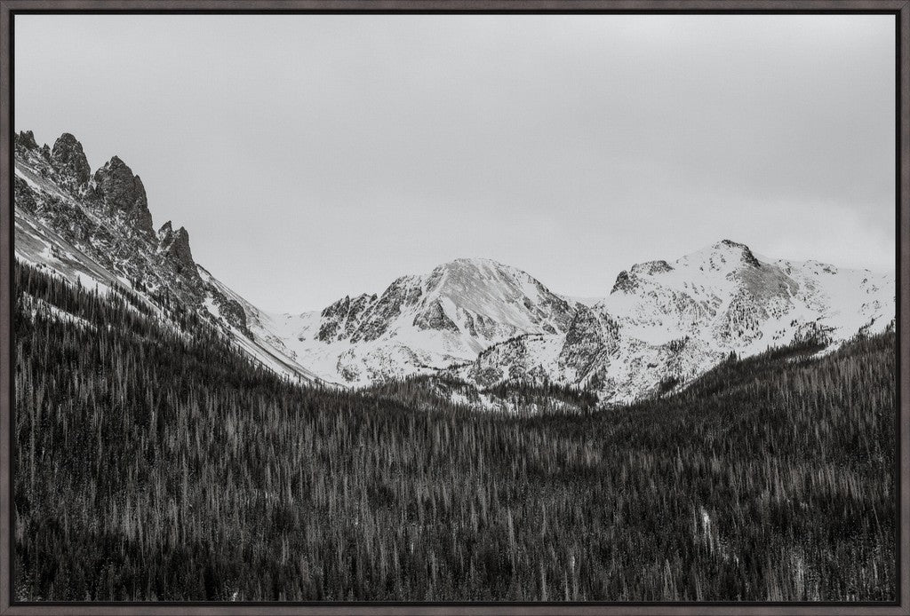Monochrome Winter Mountains & Pines