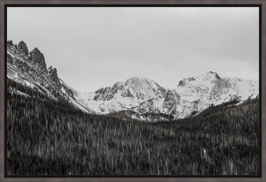 Monochrome Winter Mountains & Pines