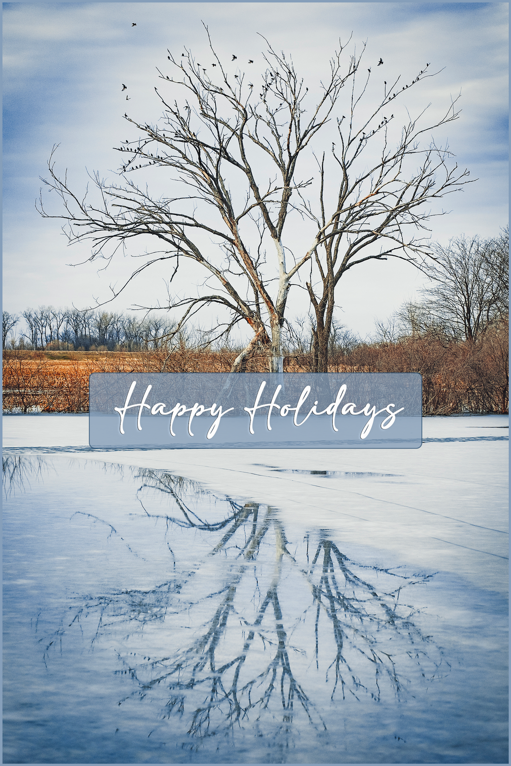 'Thaw' Holiday Greeting Cards (Set of 25)